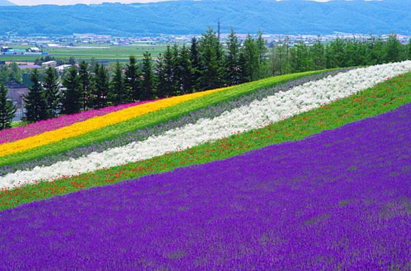 ふる郷荘furusato Nakafurano Buitenkant foto